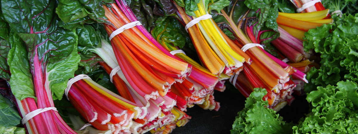 Swiss Chard